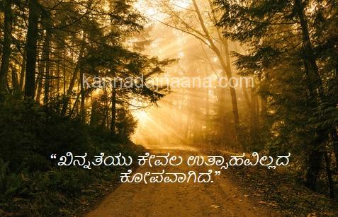 Top Feeling Kannada Quotes