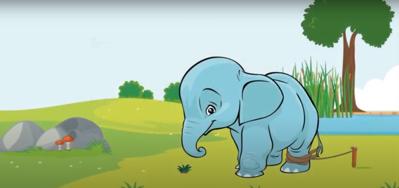 circus elephants top 10 moral stories in hindi