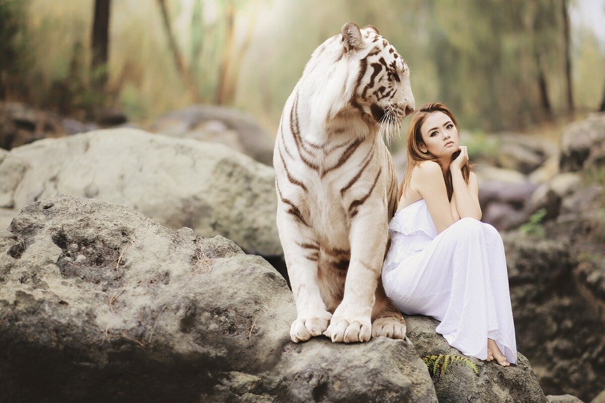 gambar wanita with tiger